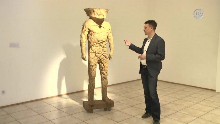 mazan_setka_news.mp4
