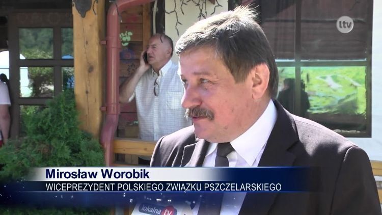 pszczoly_gminne_news.mp4