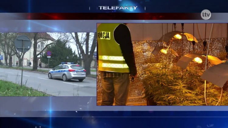 konopie_policja_bialy_news.mp4