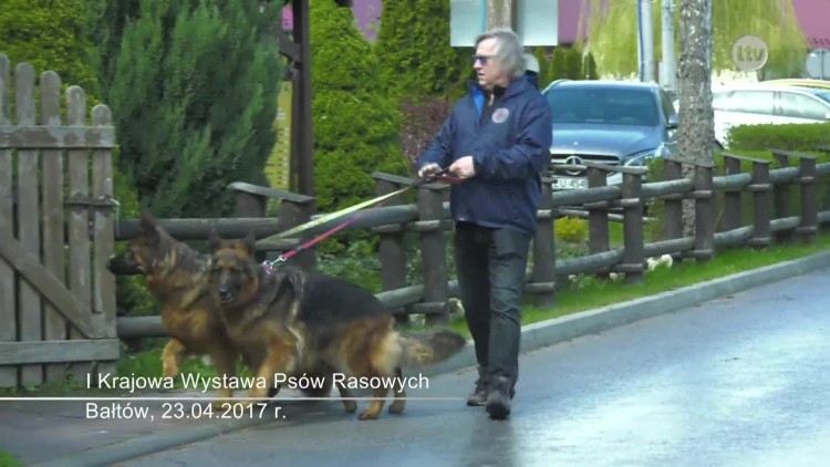 wystawa_baltow_2min.mp4