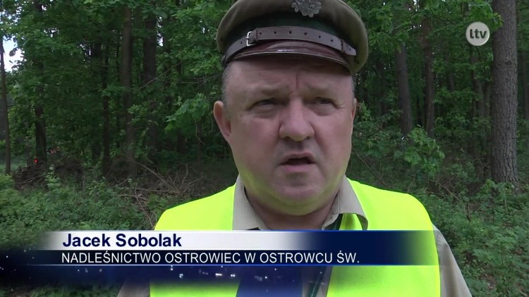 Mobilizacja służb ratunkowych na Gutwinie .mp4