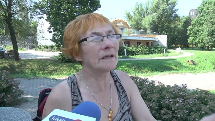 Zdychające kaczki w miejskim stawie.mp4