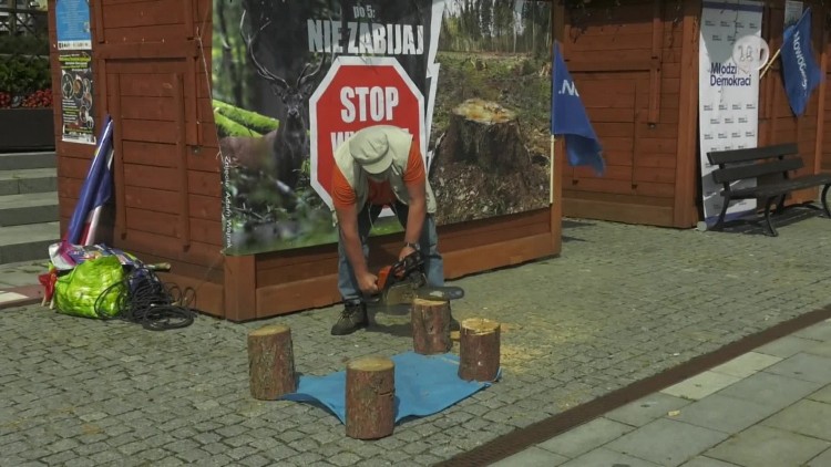 Protest przeciwko wycince drzew.mp4