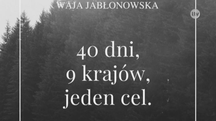 stelmasik_setka.mp4