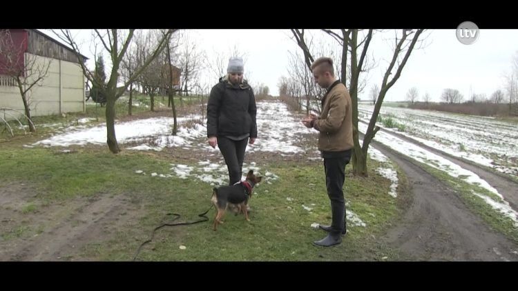 Podaj łapę, odc.4.mp4