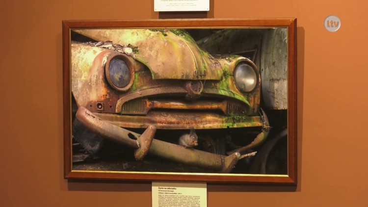ferie_muzeum_news.mp4