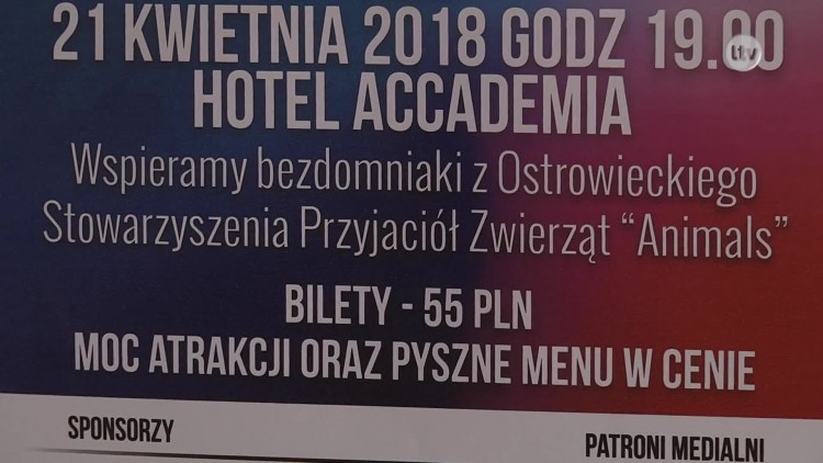 hotel_news.mp4
