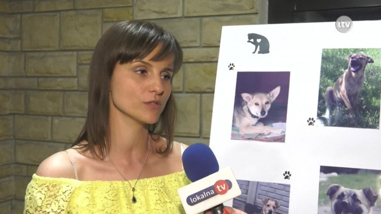 Dobra zabawa, a w tle pomoc bezdomnym zwierzętom