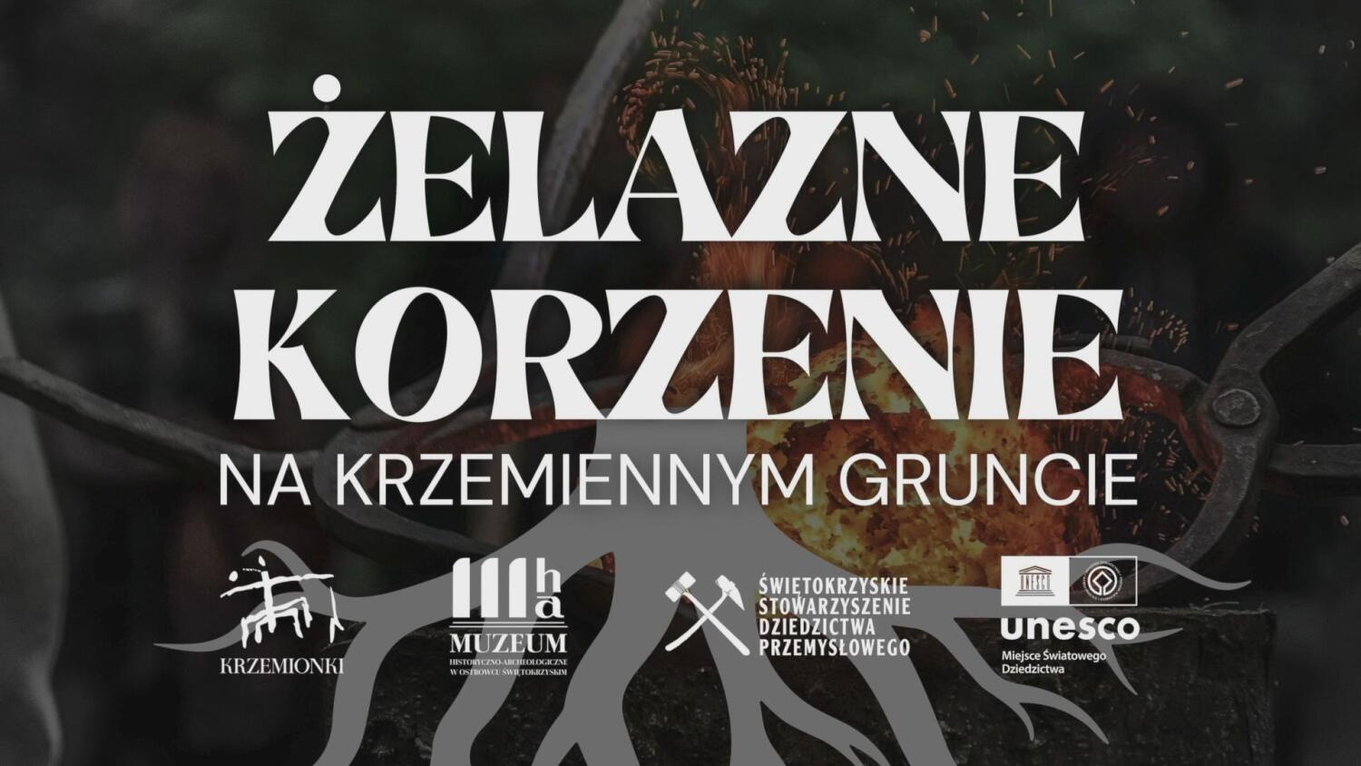 MHA - Żelazne Korzenie na Krzemiennym Gruncie