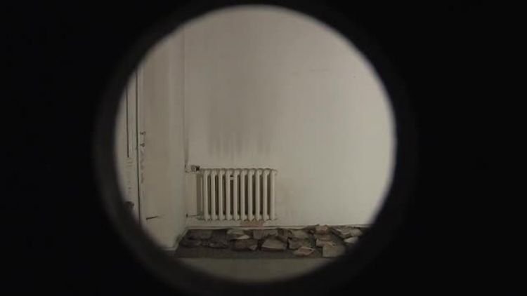 heine_news.mp4