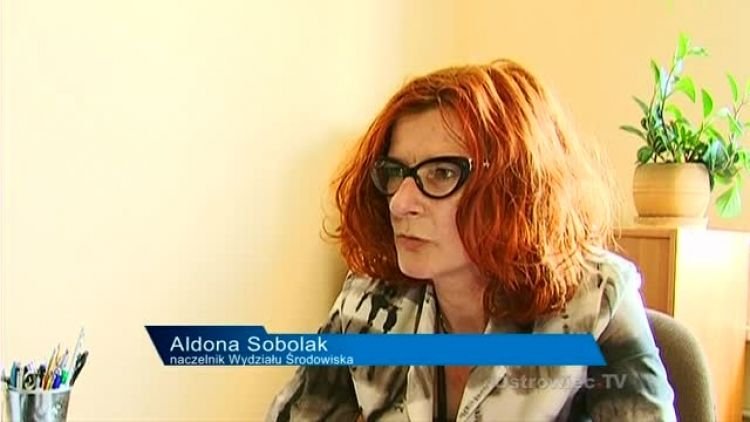 deklaracje_weryfikacja_news.mp4