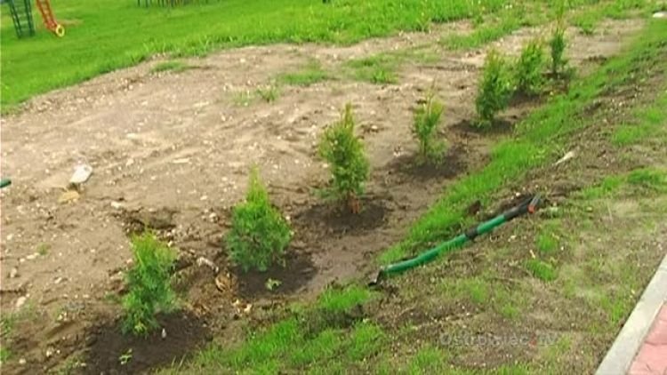 samsonowicza_smieci_news.mp4