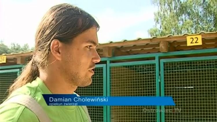 schronisko_dla_psow_news.mp4