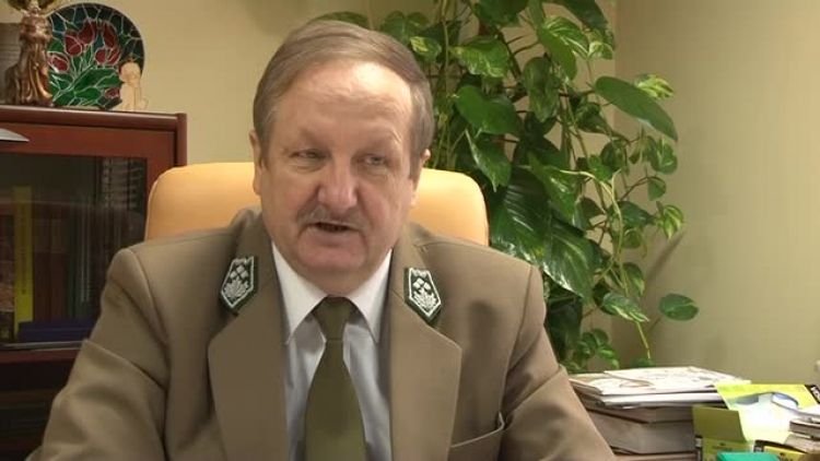wilki_w_lesie_news.mp4