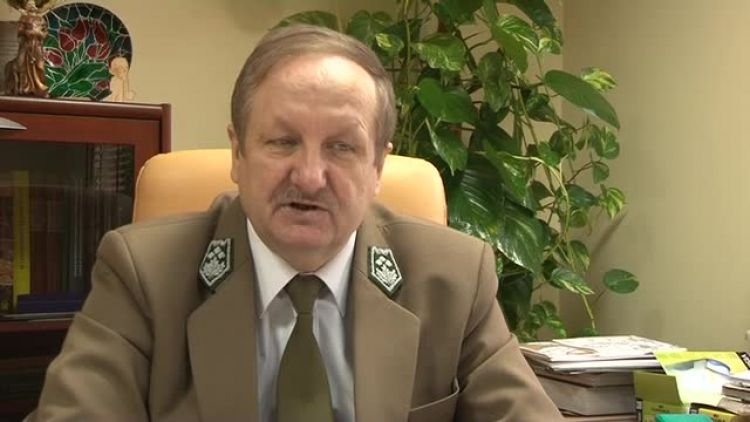 wilki_w_lesie_news.mp4
