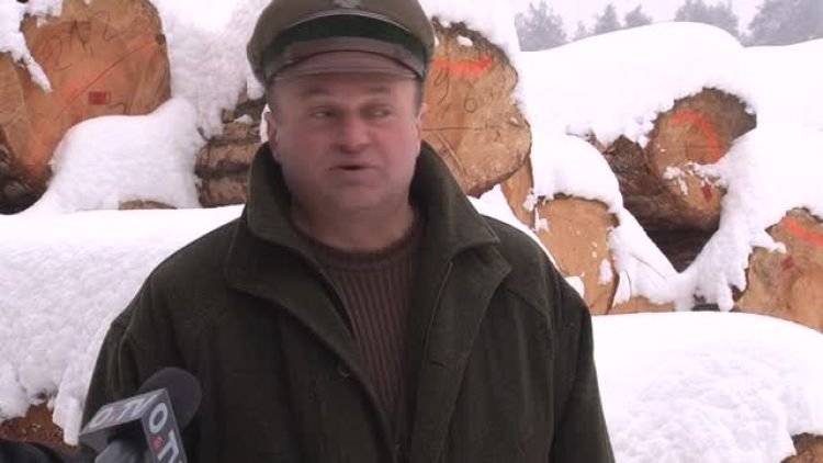 wilki_w_lesie_news.mp4