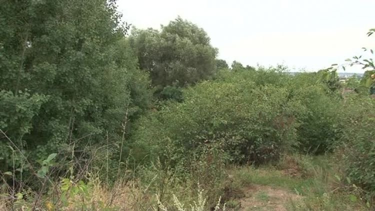 pietrkiewicz_podsumowanie_weekendu_news.mp4