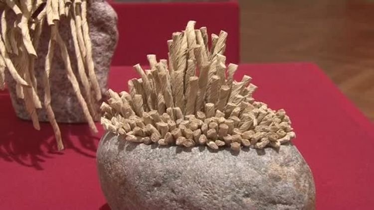 muzeum_tkackie_news.mp4