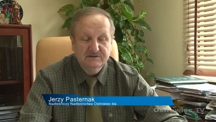 zmije_las_news.mp4