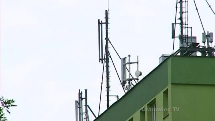 roza_thun_roaming_news.mp4