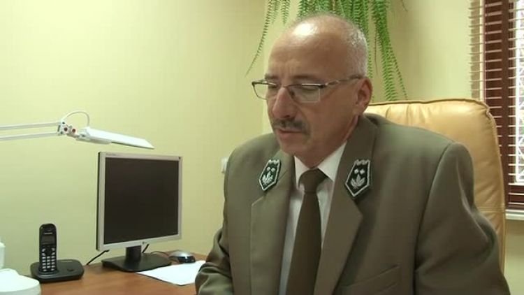 opal_na_zime_news.mp4