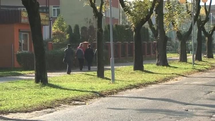 grypa_news.mp4