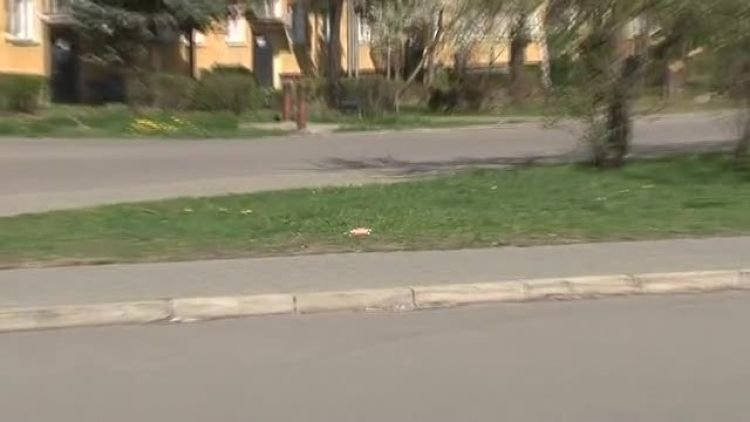dzien_ziemi_przedszkole_news.mp4
