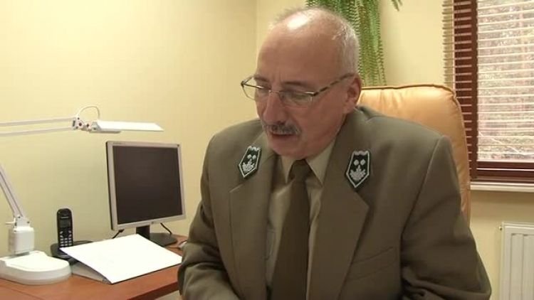 akcja_choinka_news.mp4