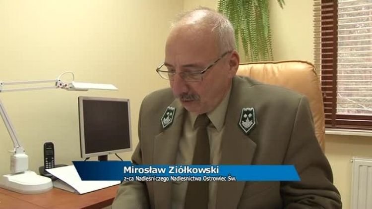 akcja_choinka_news.mp4