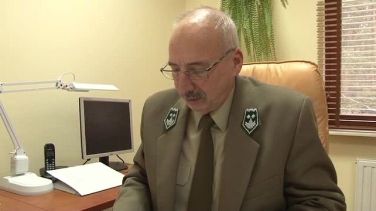 akcja_choinka_news.mp4
