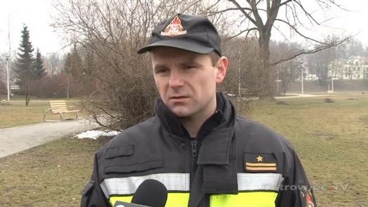 piesek_sietopilnews.mp4