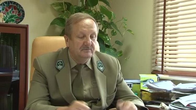 smieci_w_lasach_ostrowieckich_news.mp4