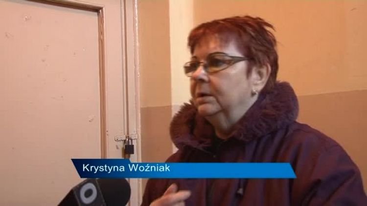 piesek_przybleda_news.mp4