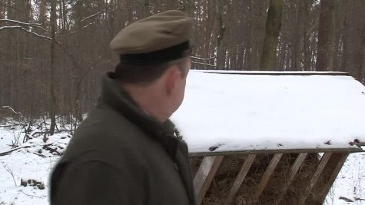 zwierzeta_lesne_news.mp4