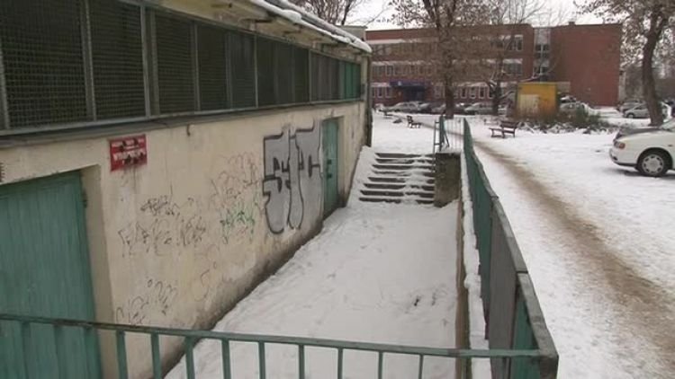 wandalizm_drzewa_news.mp4