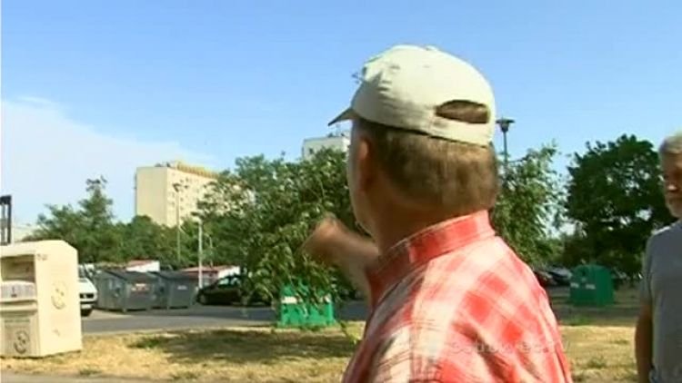 interwencja_radwana_news.mp4