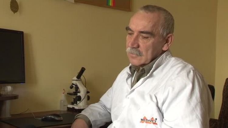 znaleziona_czapla_news.mp4