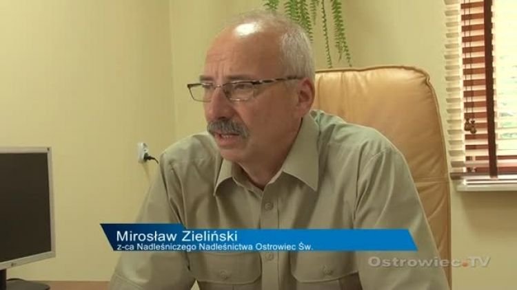 kleszczeigrzyby_news_pop.mp4