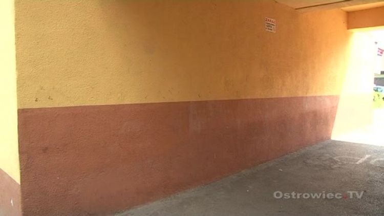 wilgoc_tylna_news.mp4