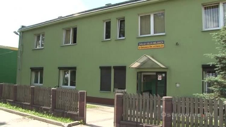 wilgoc_tylna_news.mp4