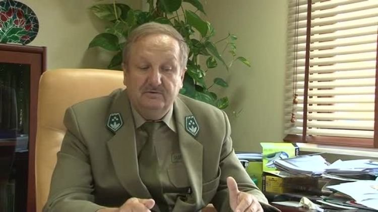 zniszczony_las_news.mp4