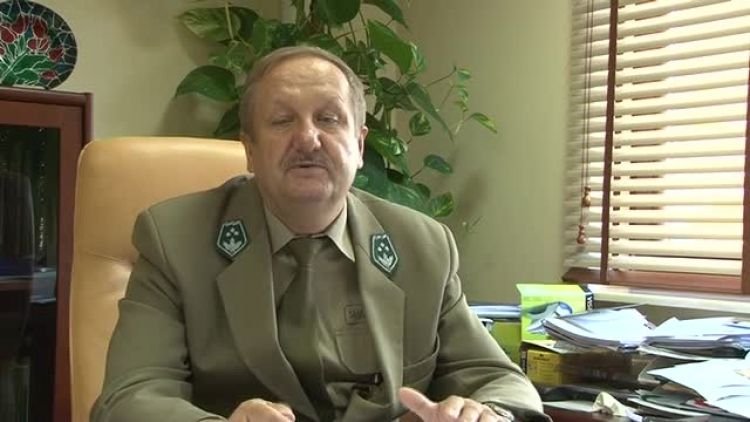 zniszczony_las_news.mp4