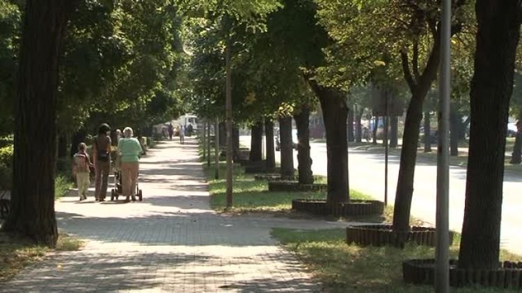 bezpiecznie_do_szkoly_news.mp4
