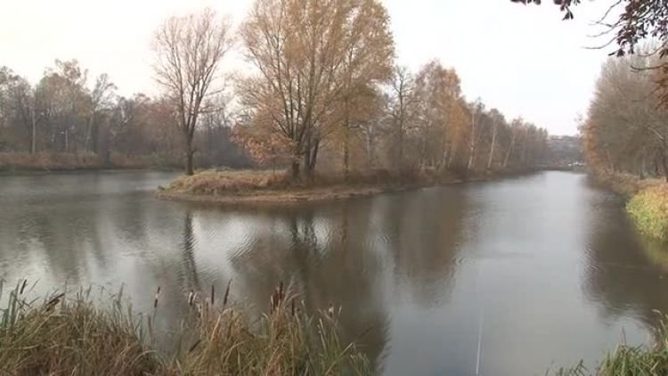 zawody_wedkarskie_czestocice_news.mp4