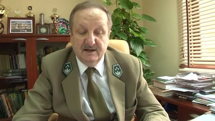 pozary_las_obserwatorzy_news.mp4