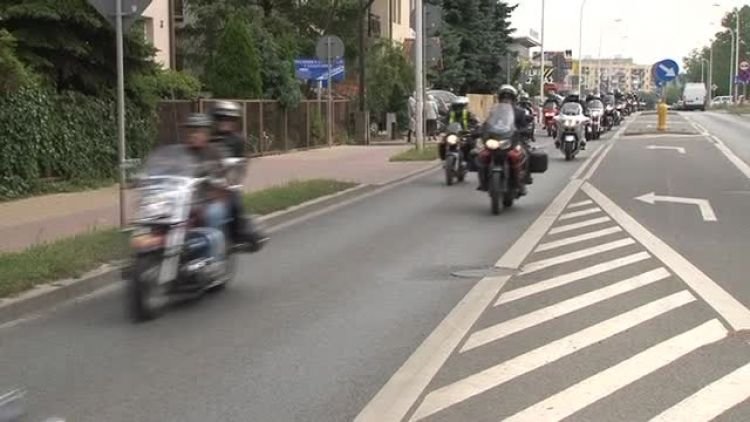 motozauro_news.mp4