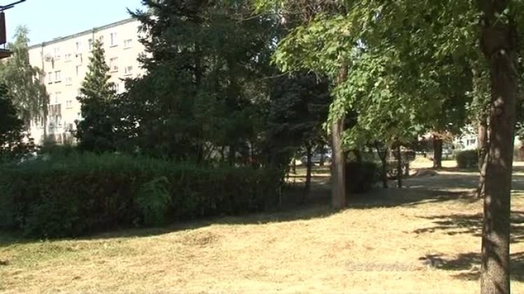 interwencja_hutnik_ogrody_news.mp4