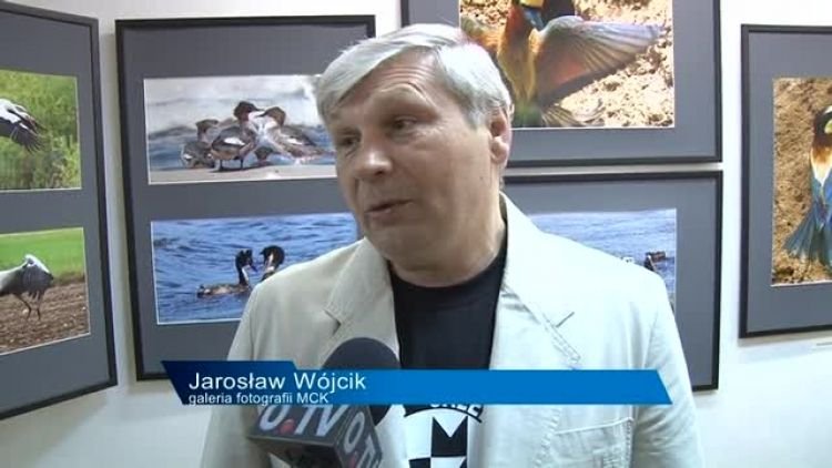 wystawa_8_foto_news.mp4