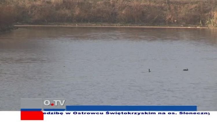 2011_11_07_telefakty.mp4