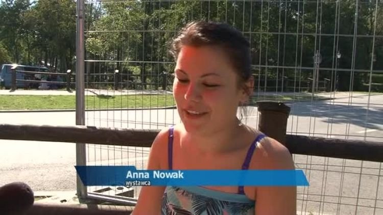 pszczoly_news.mp4